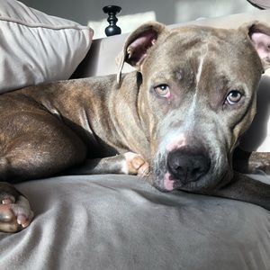 Meet your Posher, Emma